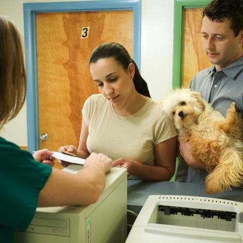 Clients in a veterinary clinic looking at their bill