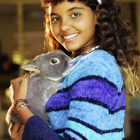 Teenage girl holding a gray rabbit